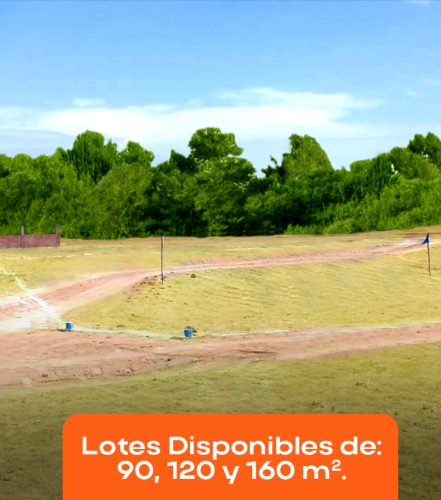 Lotes 90, 120 y 160 m2.